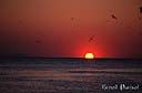 047coucher de soleil.jpg